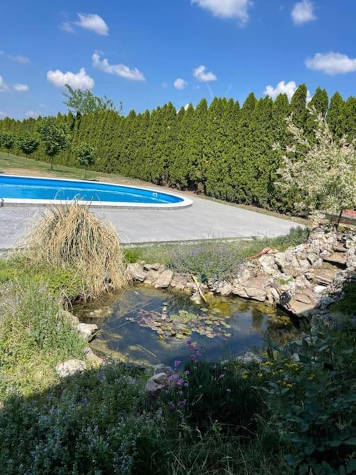 Вілла Pool House Cenej Екстер'єр фото